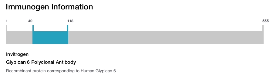 Glypican 6 Polyclonal Antibody