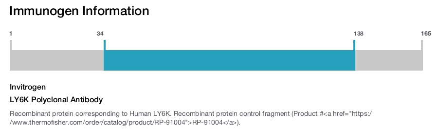 LY6K Polyclonal Antibody