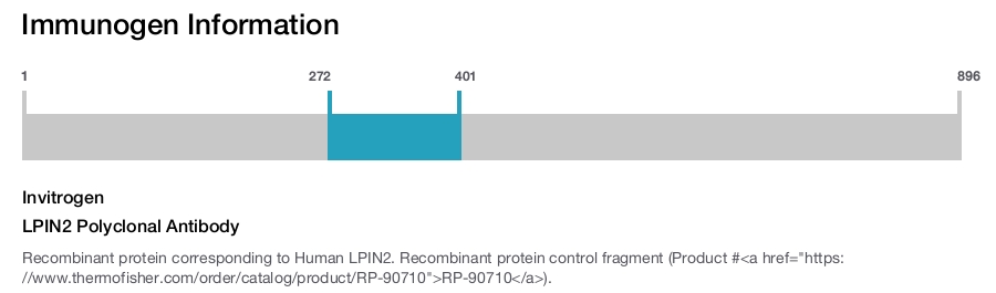 LPIN2 Polyclonal Antibody