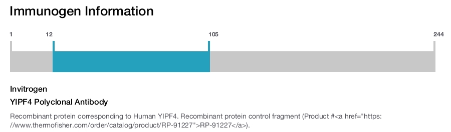 YIPF4 Polyclonal Antibody