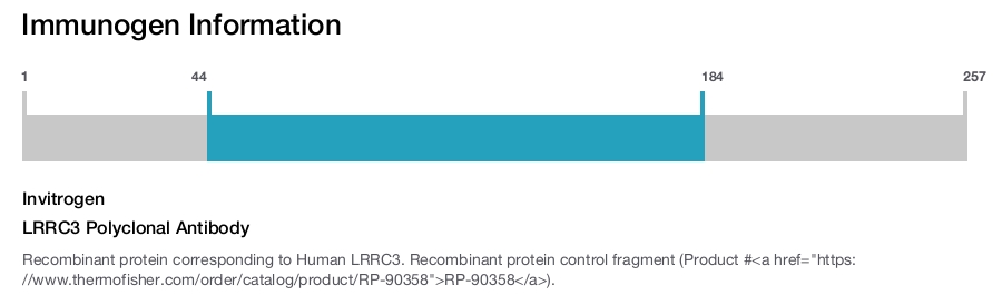 LRRC3 Polyclonal Antibody