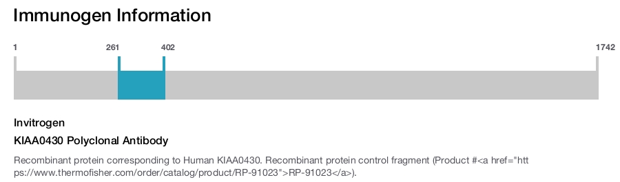 KIAA0430 Polyclonal Antibody