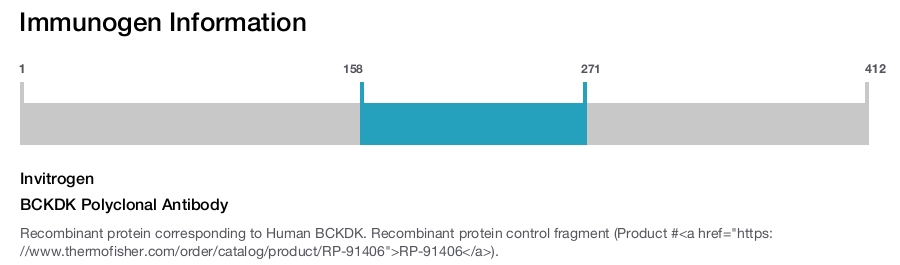 BCKDK Polyclonal Antibody