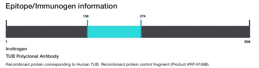 TUB Polyclonal Antibody