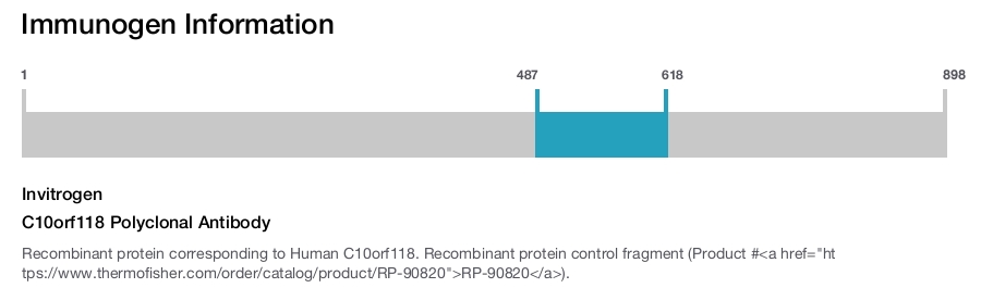 C10orf118 Polyclonal Antibody