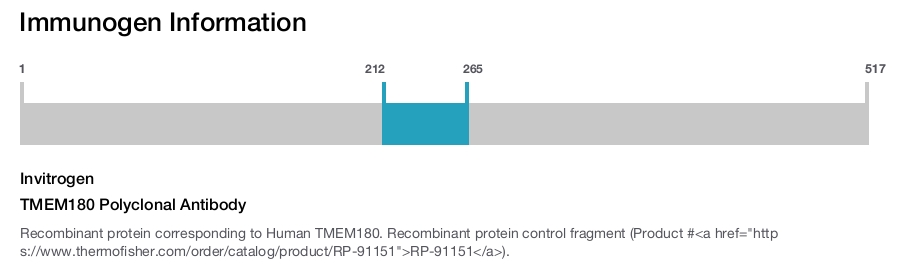 TMEM180 Polyclonal Antibody