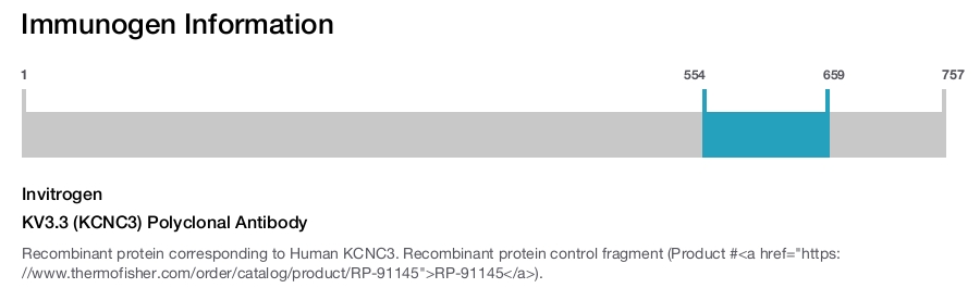 KV3.3 (KCNC3) Polyclonal Antibody