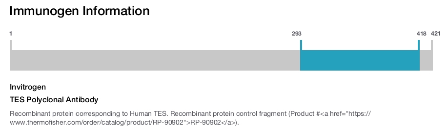TES Polyclonal Antibody