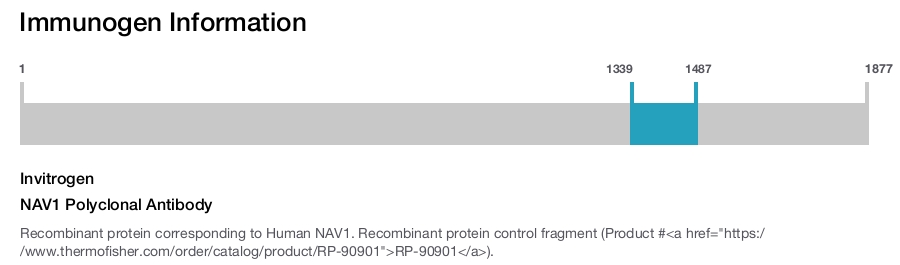 NAV1 Polyclonal Antibody