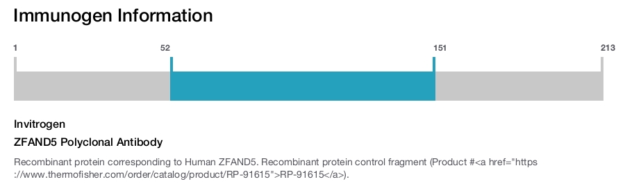 ZFAND5 Polyclonal Antibody