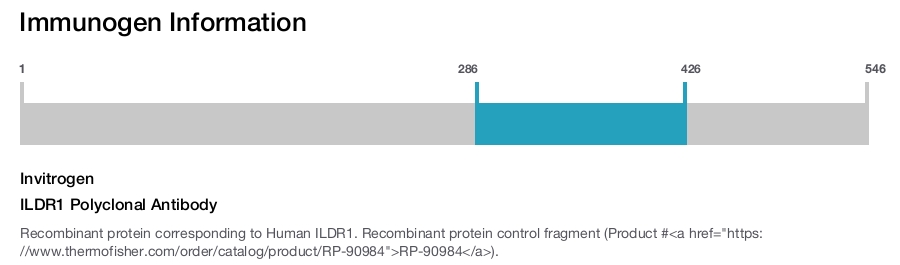 ILDR1 Polyclonal Antibody
