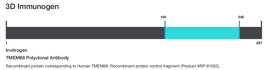 TMEM68 Polyclonal Antibody