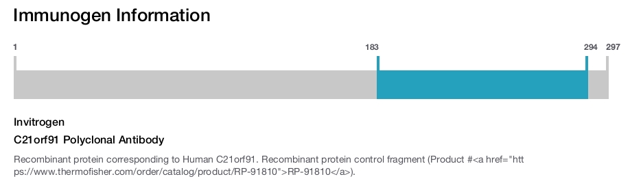C21orf91 Polyclonal Antibody