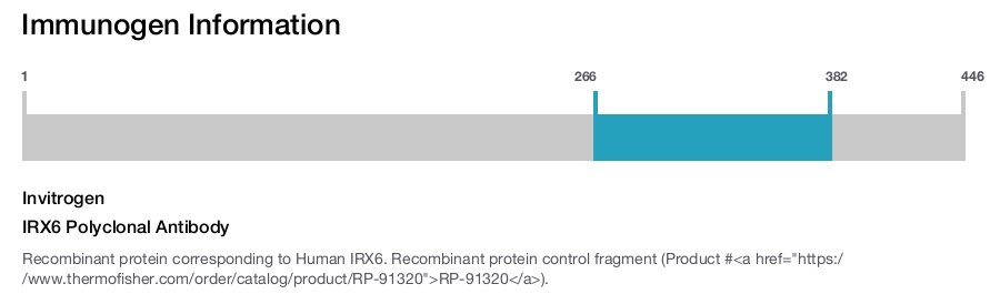 IRX6 Polyclonal Antibody