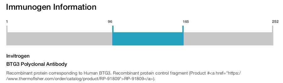BTG3 Polyclonal Antibody