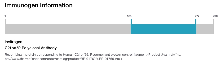 C21orf59 Polyclonal Antibody