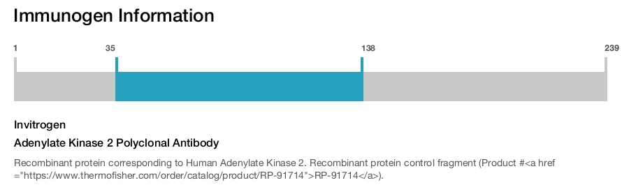 Adenylate Kinase 2 Polyclonal Antibody