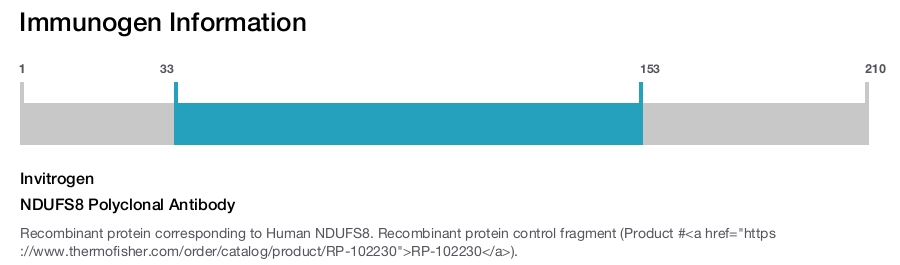 NDUFS8 Polyclonal Antibody