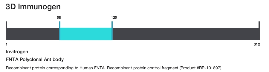 FNTA Polyclonal Antibody