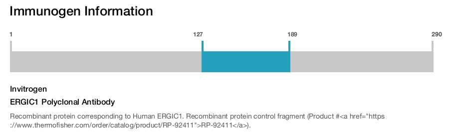 ERGIC1 Polyclonal Antibody
