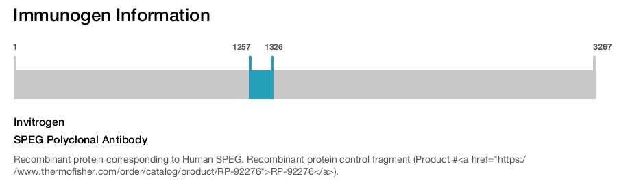 SPEG Polyclonal Antibody
