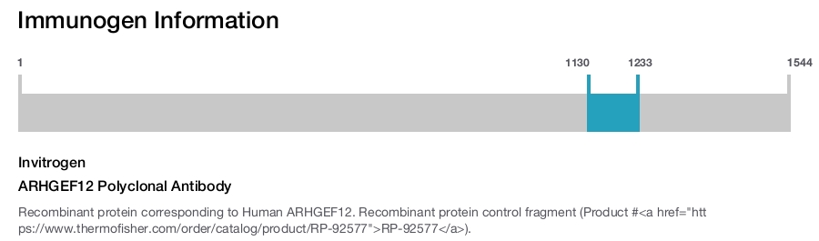 ARHGEF12 Polyclonal Antibody