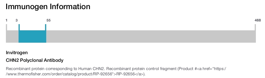 CHN2 Polyclonal Antibody