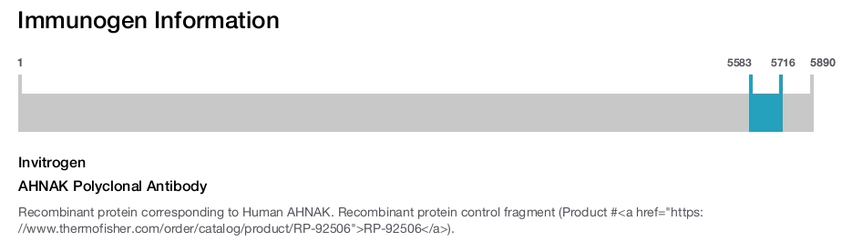 AHNAK Polyclonal Antibody