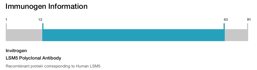 LSM5 Polyclonal Antibody