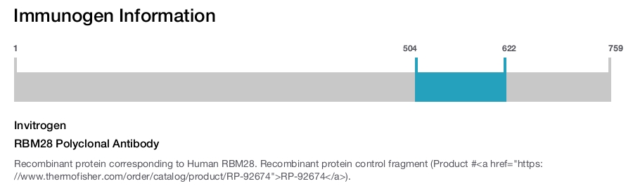 RBM28 Polyclonal Antibody