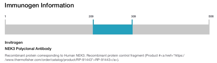 NEK3 Polyclonal Antibody