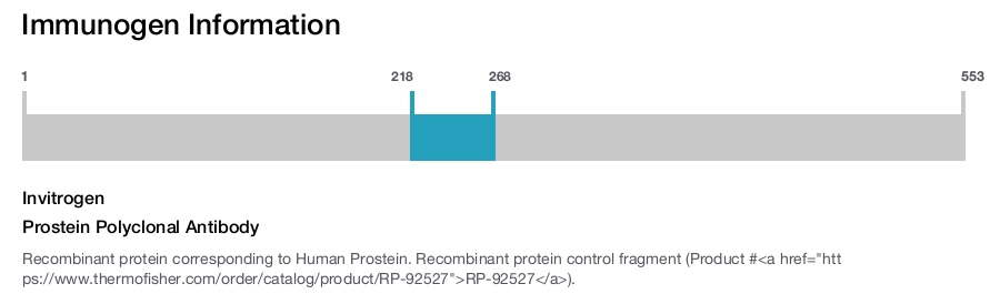 Prostein Polyclonal Antibody