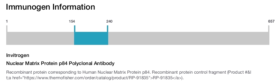 Nuclear Matrix Protein p84 Polyclonal Antibody