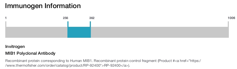 MIB1 Polyclonal Antibody