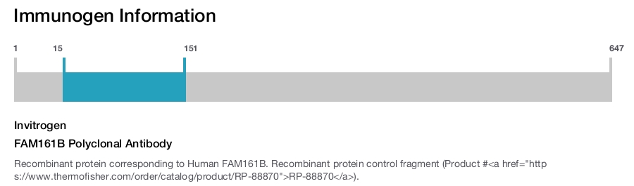 FAM161B Polyclonal Antibody