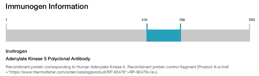 Adenylate Kinase 5 Polyclonal Antibody