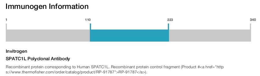 SPATC1L Polyclonal Antibody