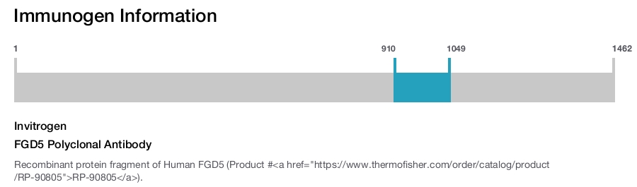FGD5 Polyclonal Antibody