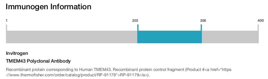 TMEM43 Polyclonal Antibody