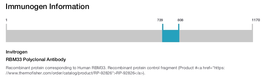 RBM33 Polyclonal Antibody