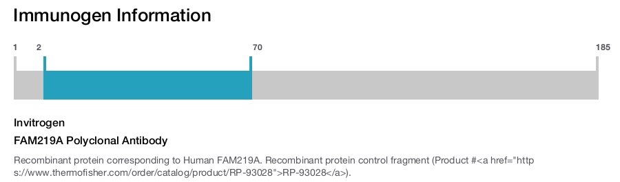 FAM219A Polyclonal Antibody