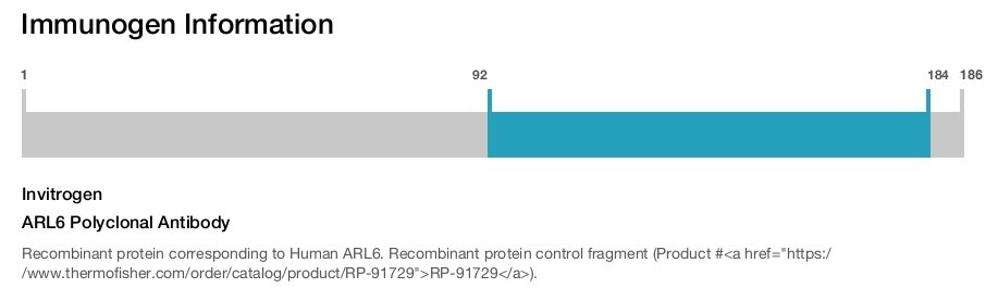 ARL6 Polyclonal Antibody