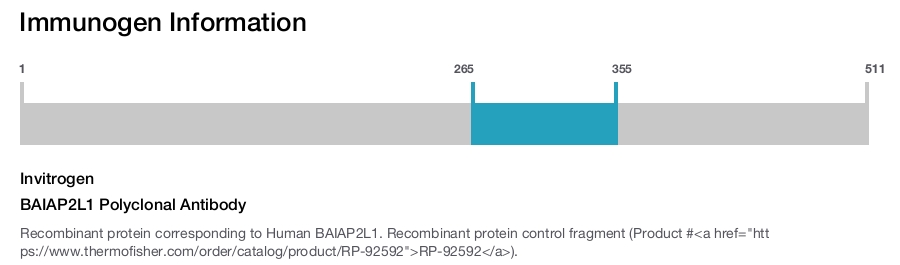 BAIAP2L1 Polyclonal Antibody