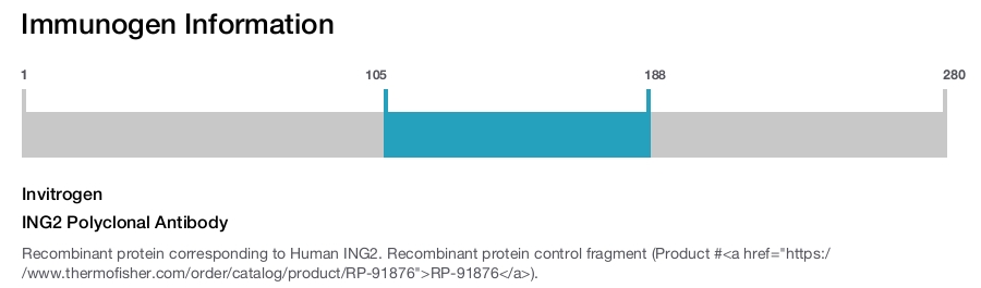 ING2 Polyclonal Antibody