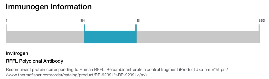 RFFL Polyclonal Antibody