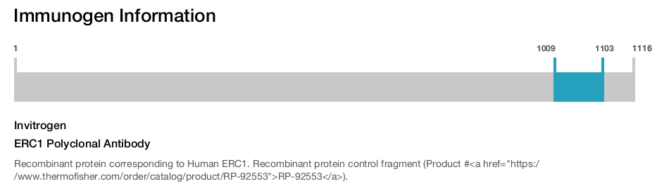 ERC1 Polyclonal Antibody