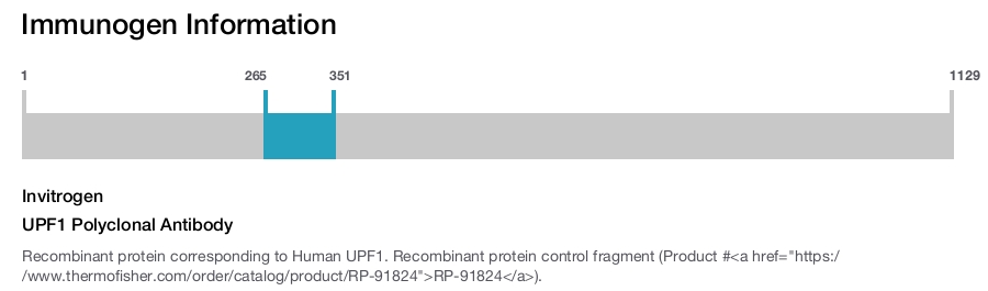 UPF1 Polyclonal Antibody