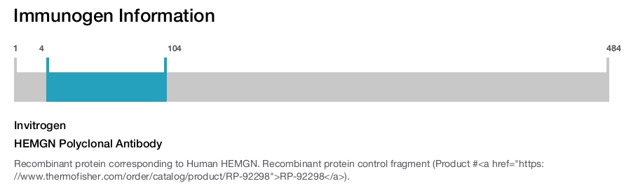 HEMGN Polyclonal Antibody