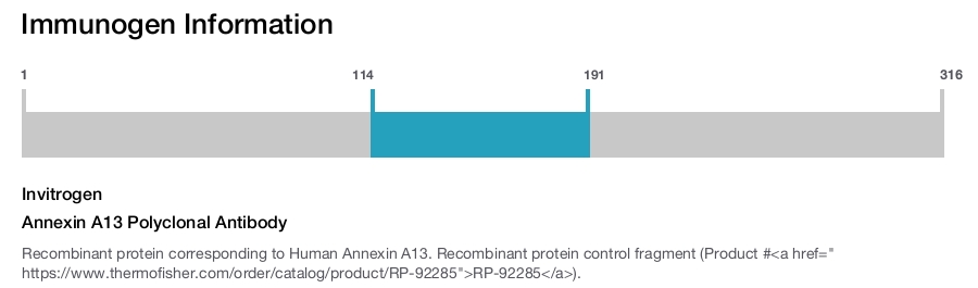 Annexin A13 Polyclonal Antibody