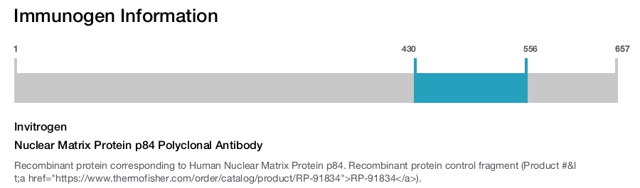 Nuclear Matrix Protein p84 Polyclonal Antibody